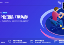 大陆BGP高防御服务器-需实名认证，需备案，行业有限制