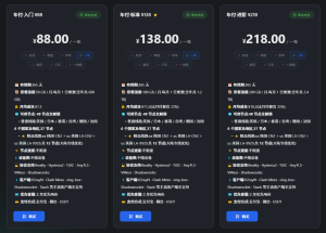 9.9一个月，一年88元的VPN，它来了