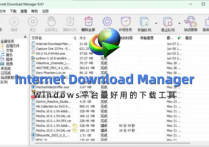IDM下载器 Internet Download Manager v6.42 Build 41